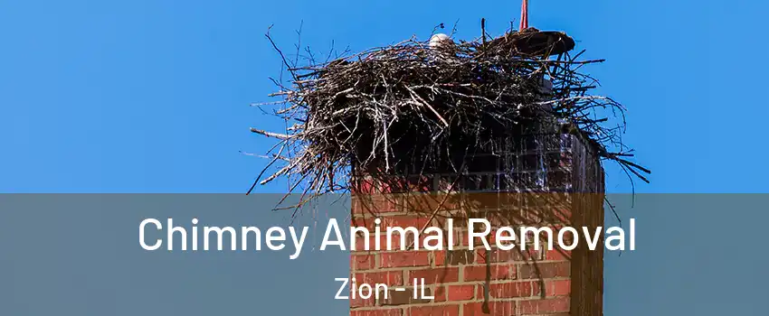  Chimney Animal Removal Zion - IL