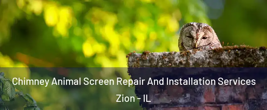  Chimney Animal Screen Repair And Installation Services Zion - IL