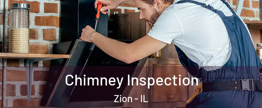  Chimney Inspection Zion - IL