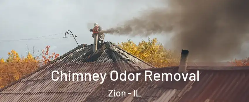  Chimney Odor Removal Zion - IL