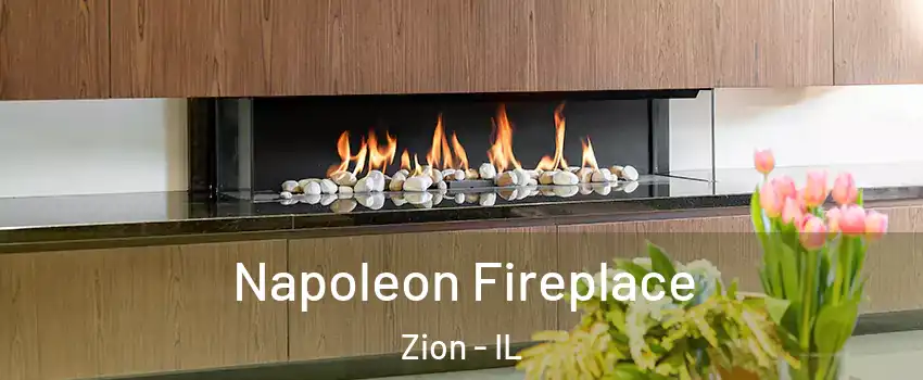 Napoleon Fireplace Zion - IL